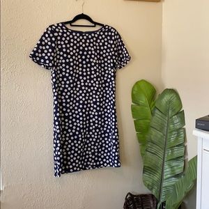 Jcrew mijo navy white polka dot dress